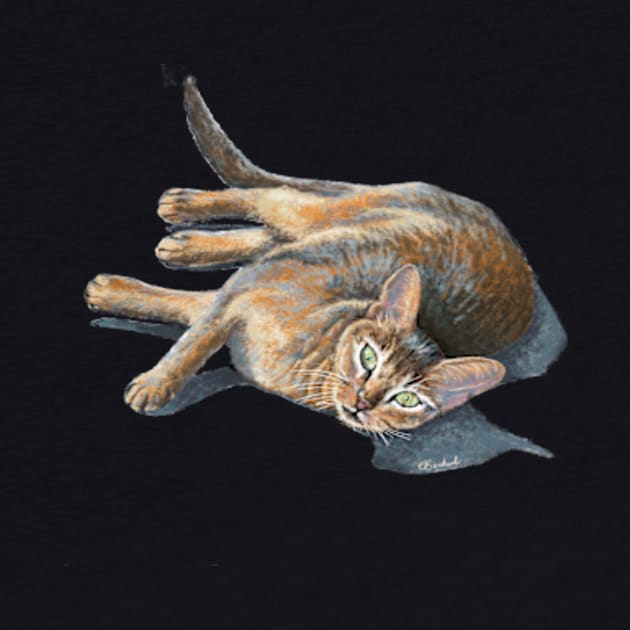 Abyssinian cat lying by rainetteillus